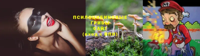 Псилоцибиновые грибы MAGIC MUSHROOMS  где купить наркотик  мега как зайти  Клинцы 